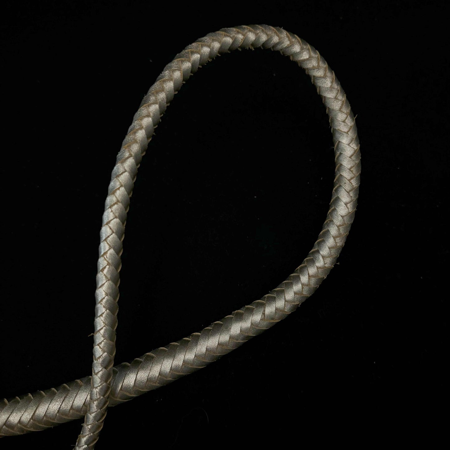 Void Serpent-Single Tail Whip