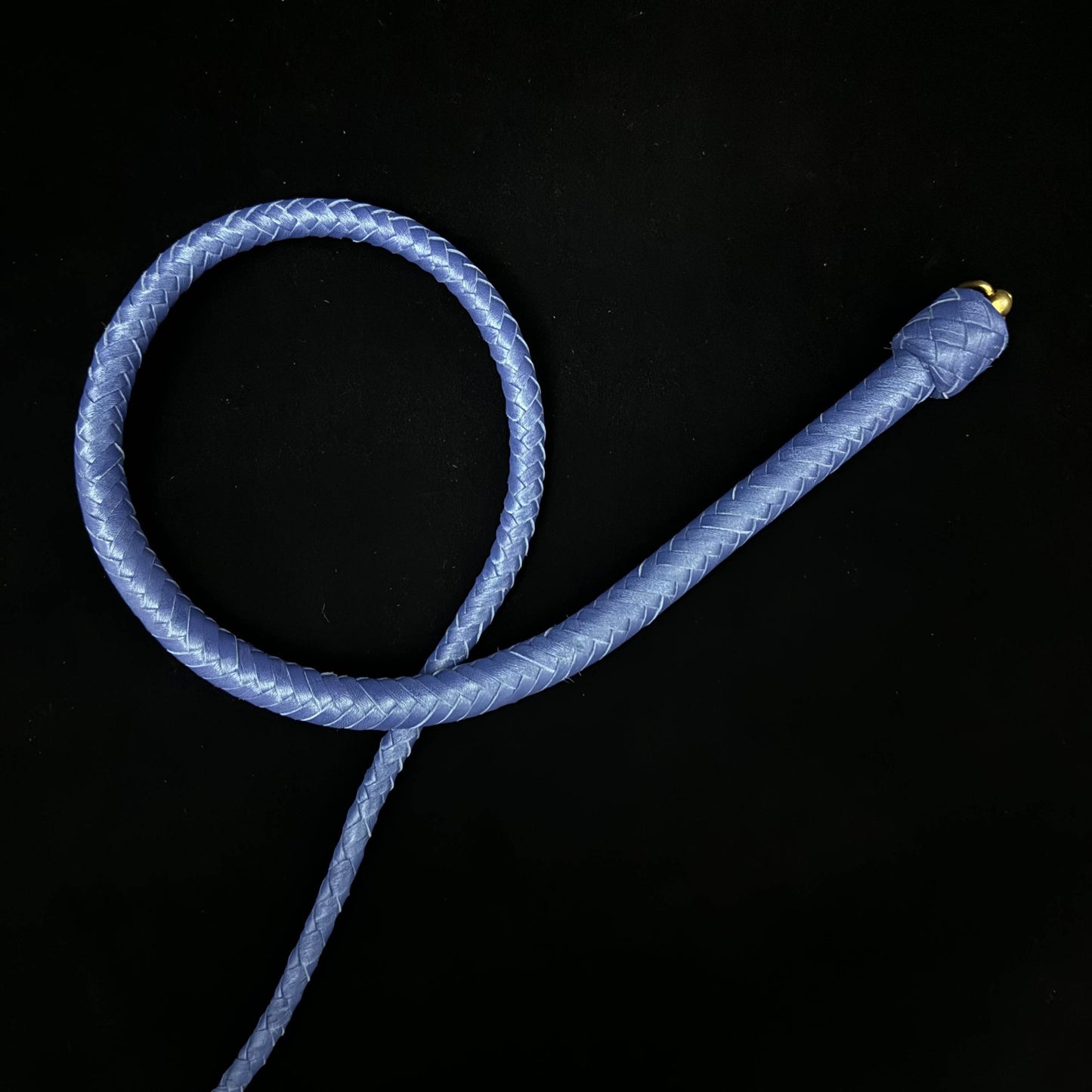 Cobalt Whip-Single Tailed Snake Whip