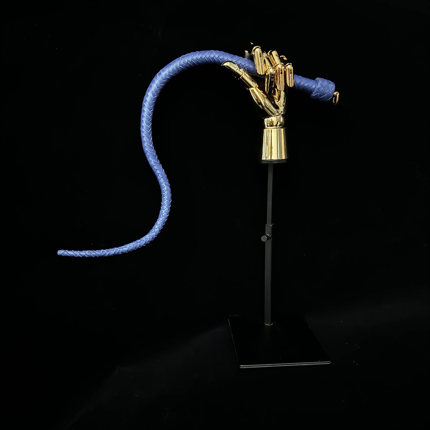 Premium Collector's Whip Set