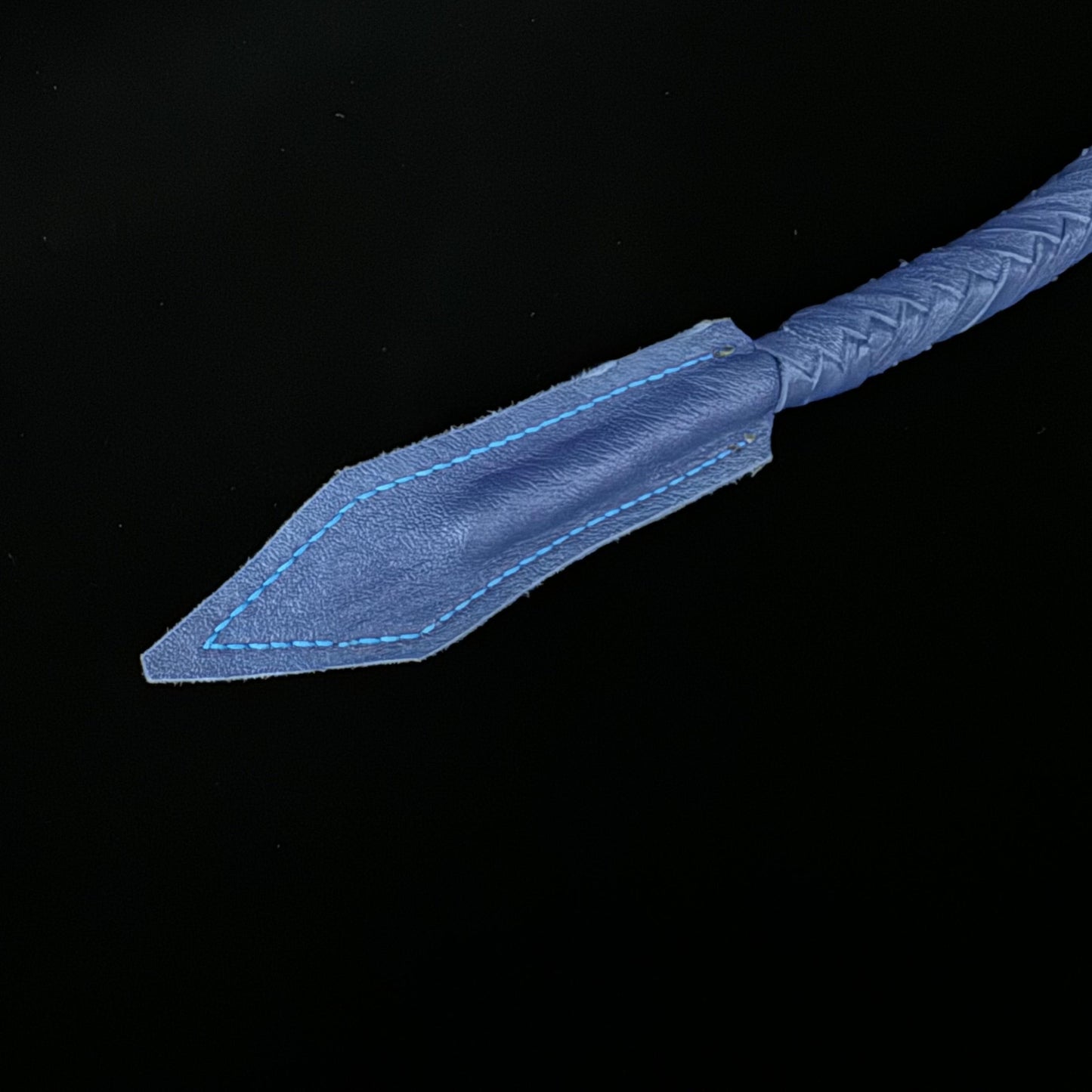 Neptune’s Tail-Single Tail Whip