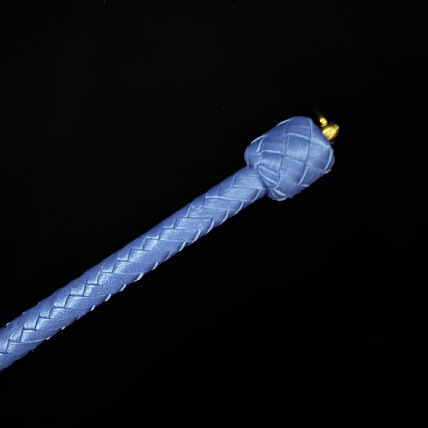 Neptune’s Tail-Single Tail Whip