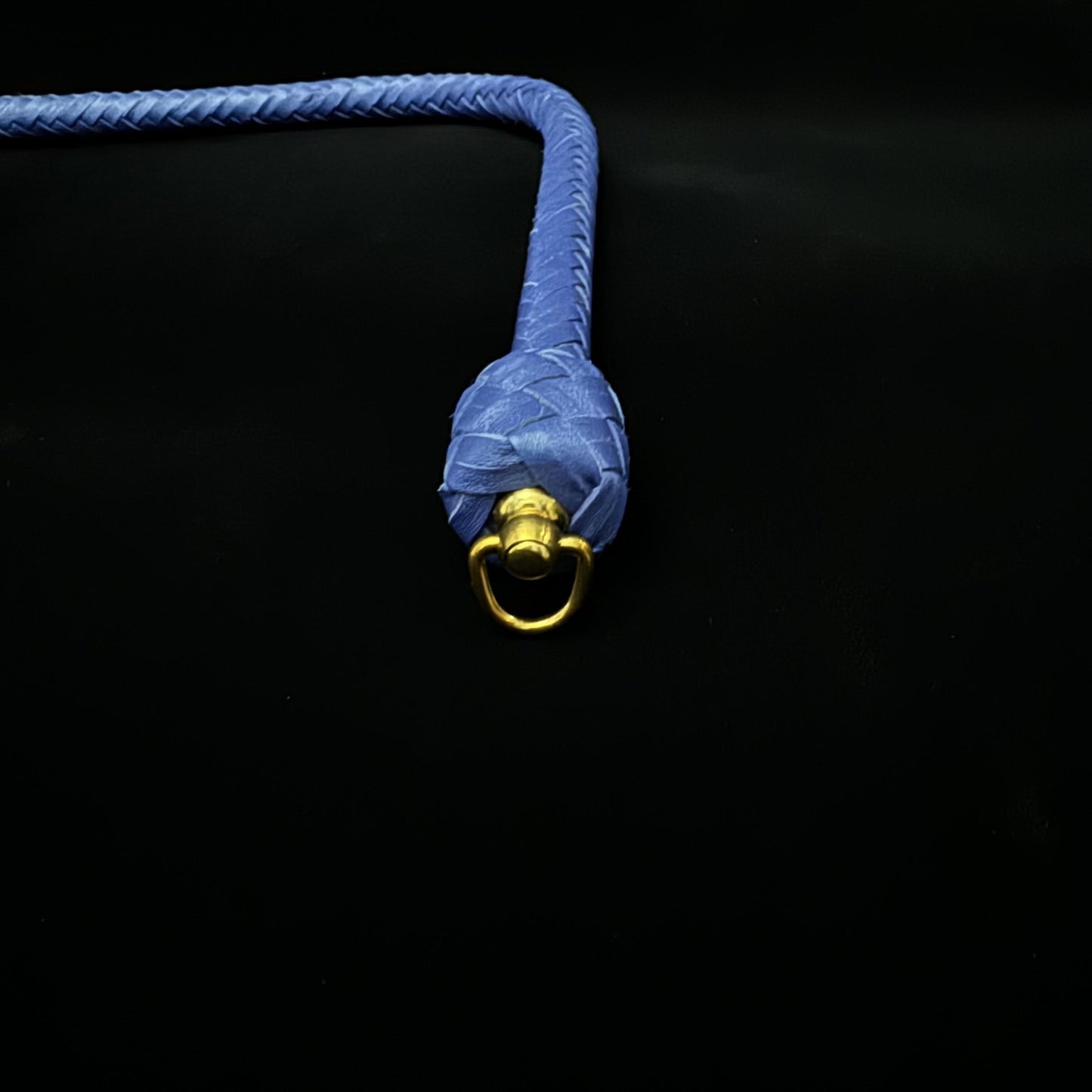 Neptune’s Tail-Single Tail Whip