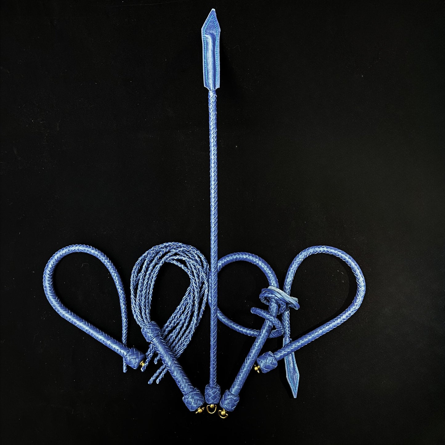 Premium Collector's Whip Set