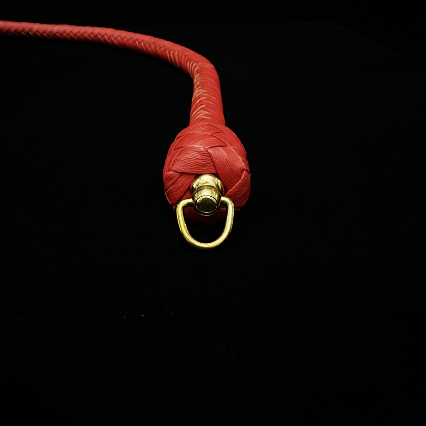 Blood Ruby - Single Tailed Snake Whip