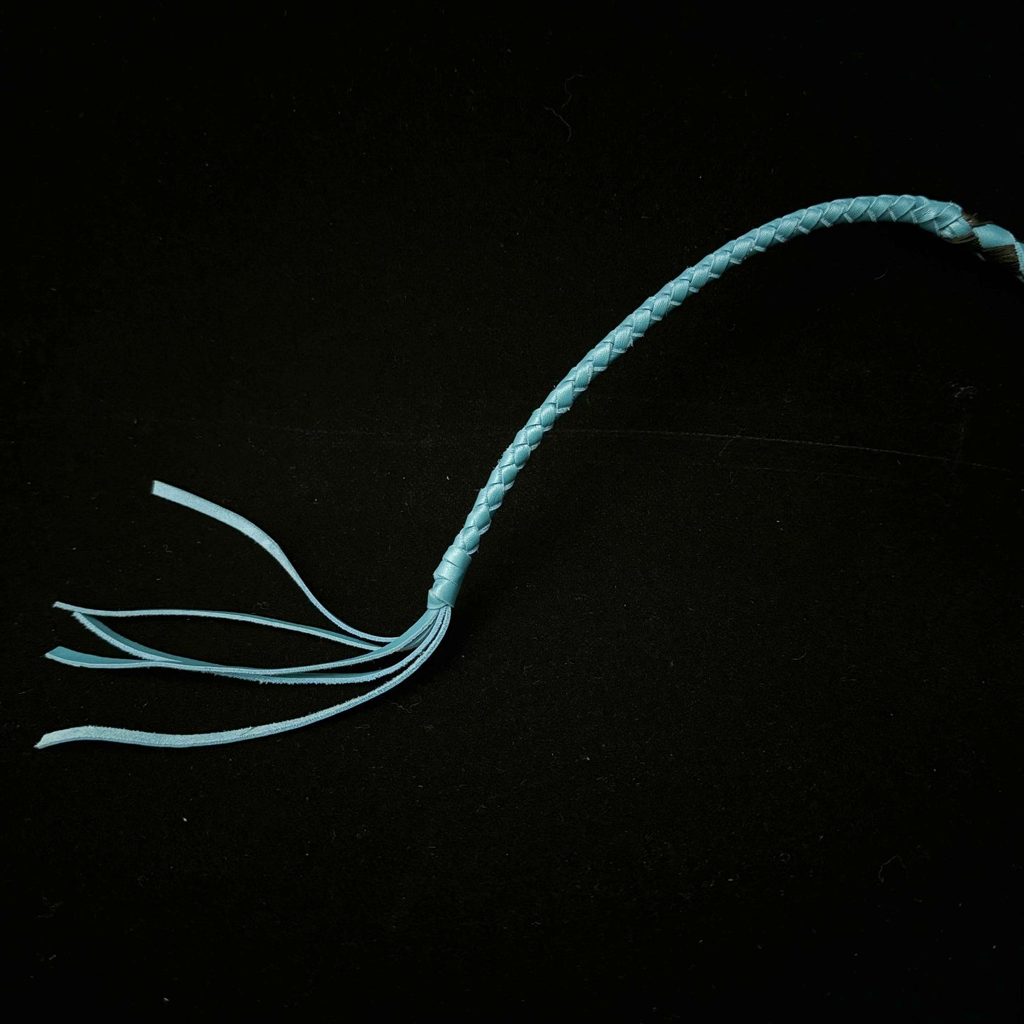 Blue Thorn - Single Tail Whip